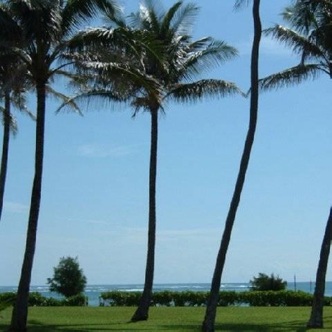 Fairway Villas Honolulu Dış mekan fotoğraf