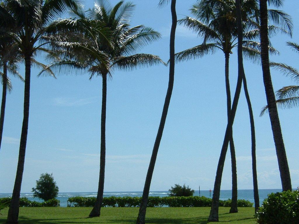 Fairway Villas Honolulu Dış mekan fotoğraf